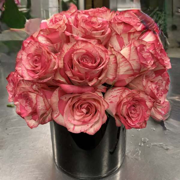 Two Dozen Roses