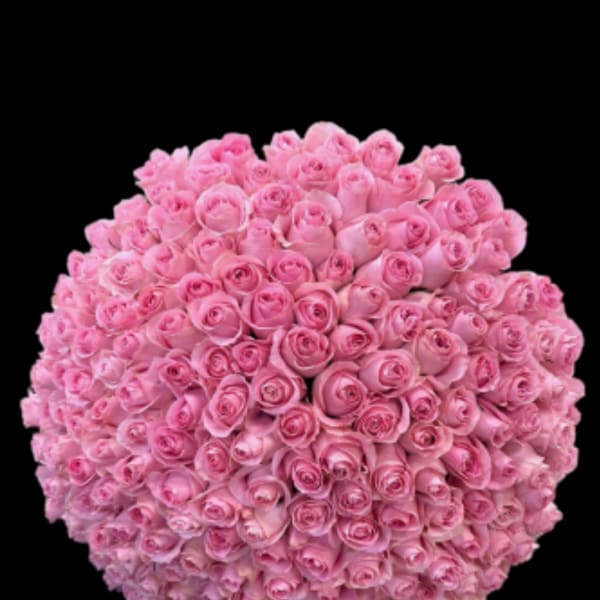 Large round bouquet of pink roses on a black background