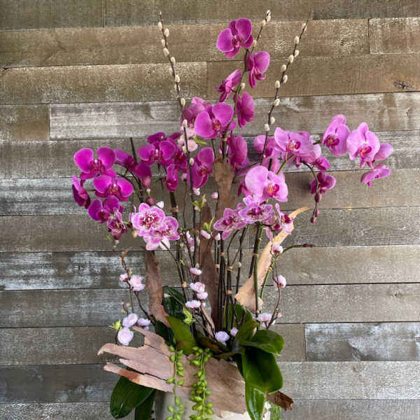 Pink orchid arrangement in a white vase with trailing greenery