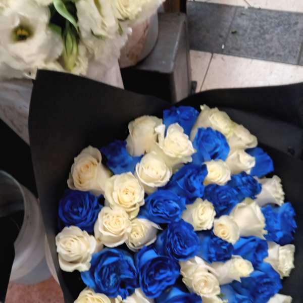 Bouquet of blue and white roses wrapped in black paper