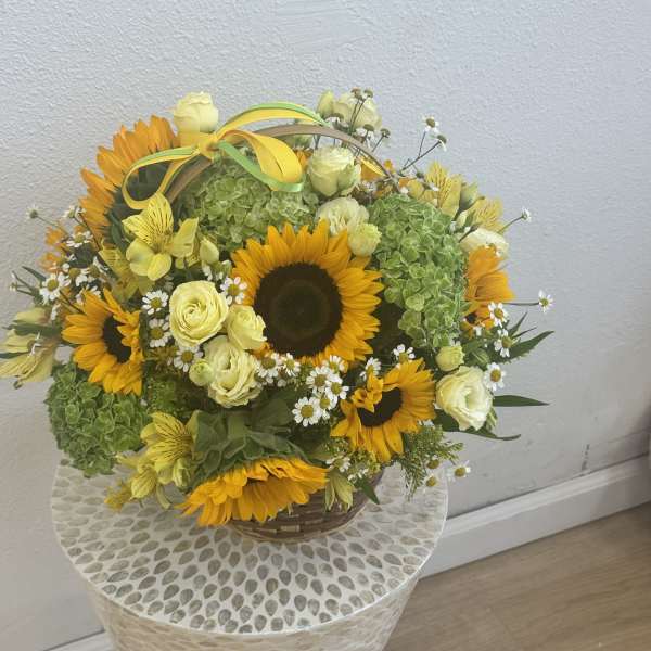 Basket arrangement of sunflowers, pale roses, and green hydrangeas with a yellow ribbon