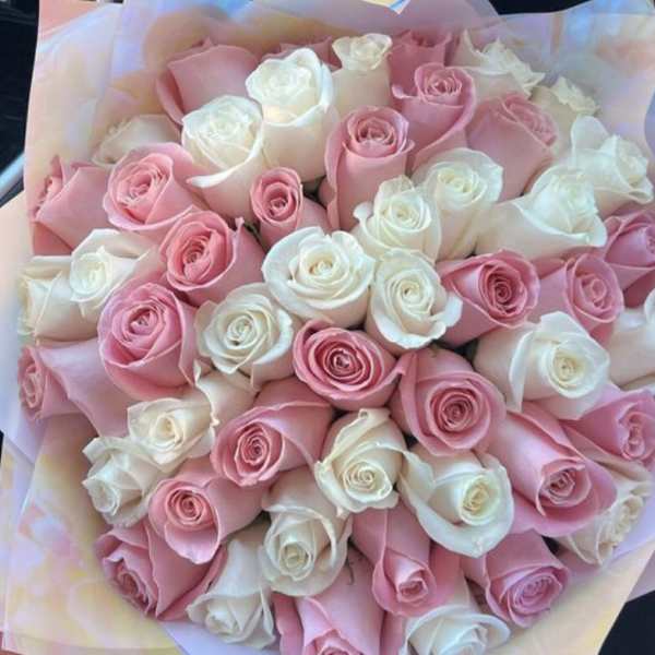 Bouquet of pink and white roses wrapped in pastel paper