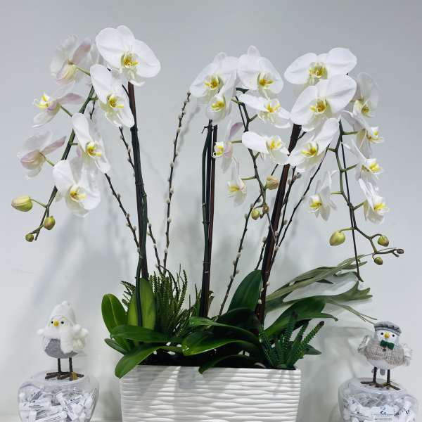 White orchid arrangement in a textured white planter with two small bird decorations