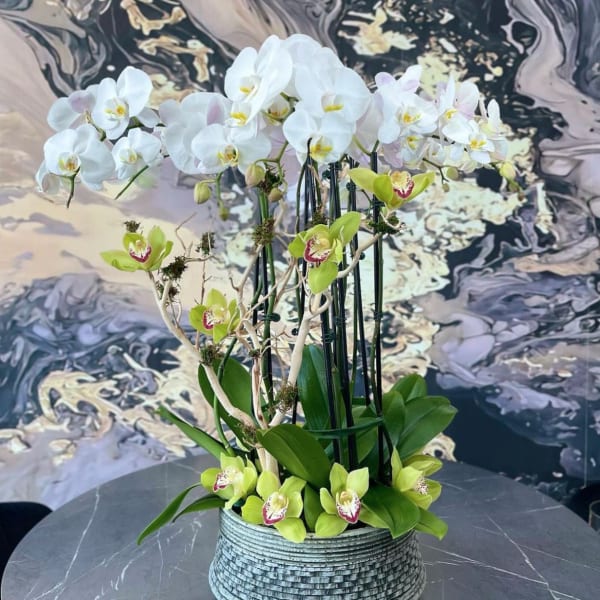 White and green orchids arranged in a textured round pot