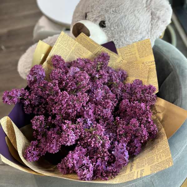 Bouquet of purple lilacs wrapped in yellow paper with a teddy bear behind it