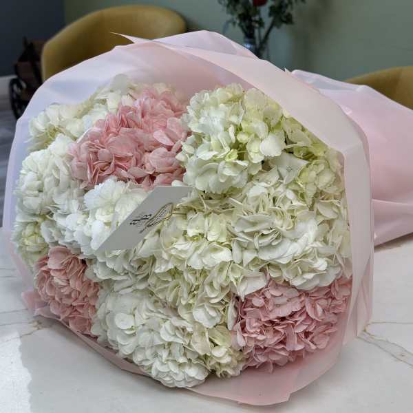 Bouquet of pink and white hydrangeas wrapped in pale pink paper