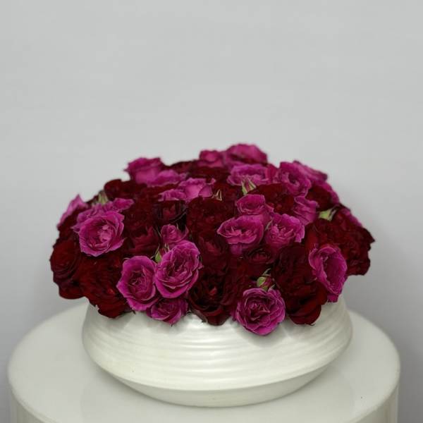 Round arrangement of pink and deep red roses in a white bowl vase