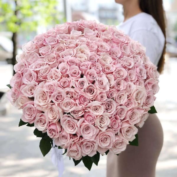 Large bouquet of pale pink roses held by a person
