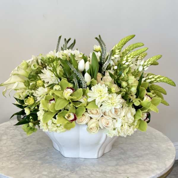 Naomi Vase MD
