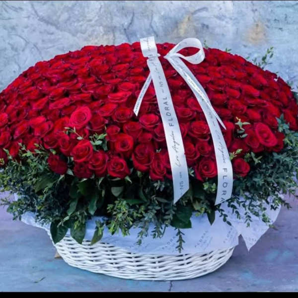 Large basket arrangement of red roses with a white ribbon