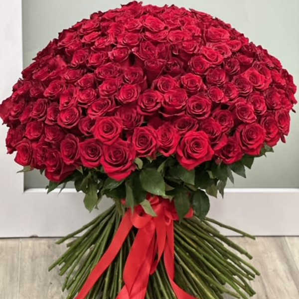 Large bouquet of red roses tied with a red ribbon