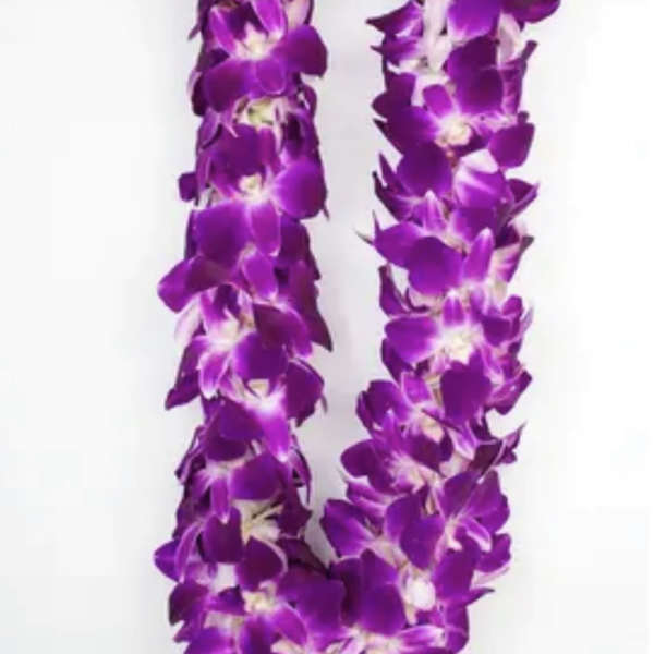 Purple orchid lei