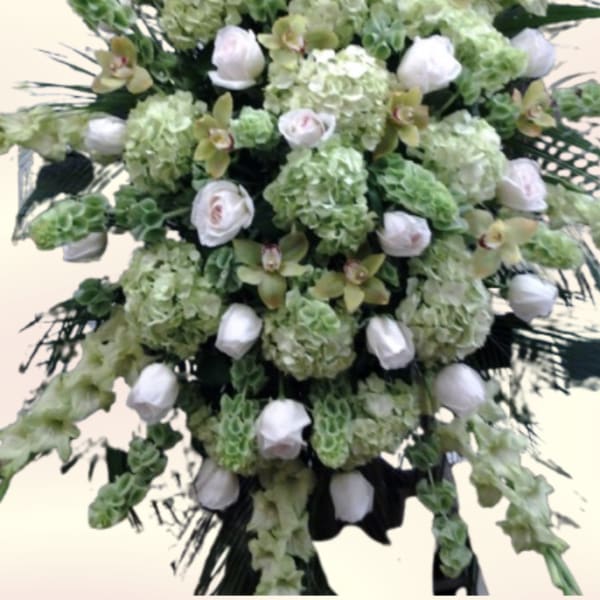 Evergreen Sympathy