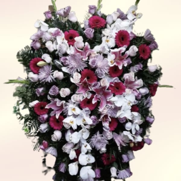 Orchid Delight