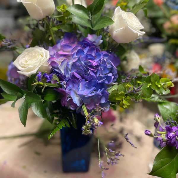 White roses and purple hydrangea in a blue vase
