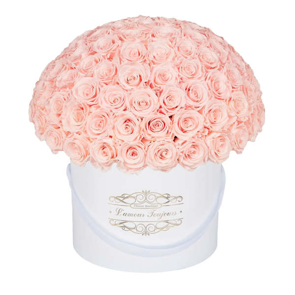 Large dome of pale pink roses in a white hatbox