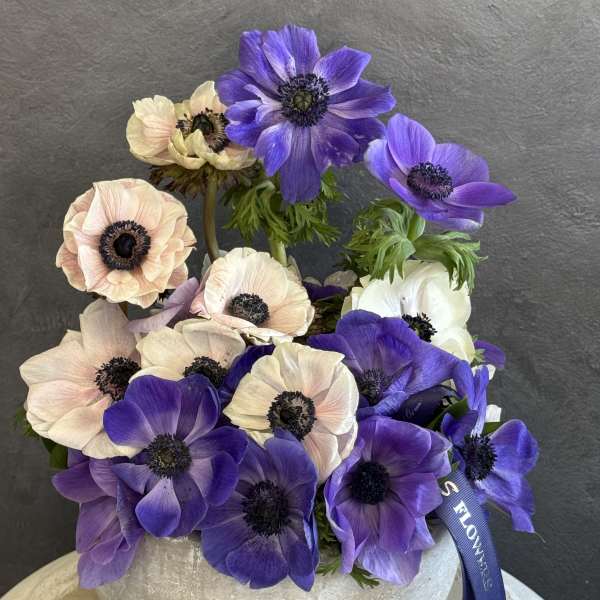 Purple and blush anemones arranged in a round white vase