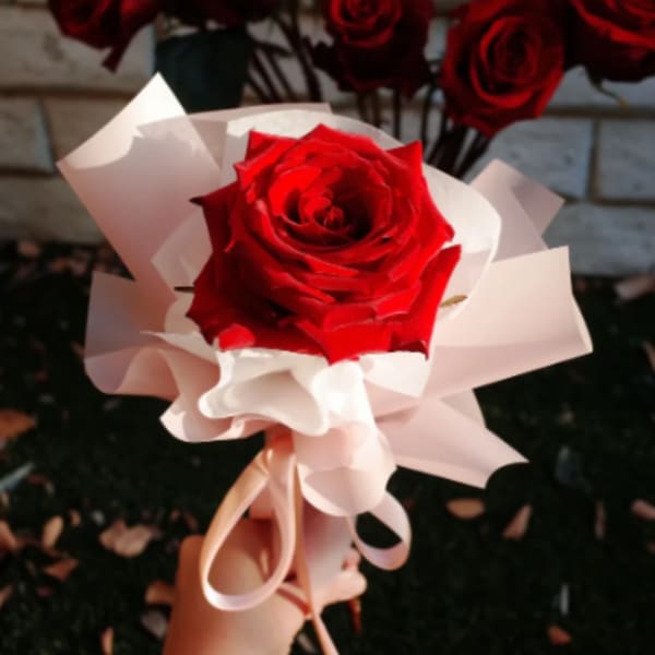 Fresh Single Rose – Wrapped with Love