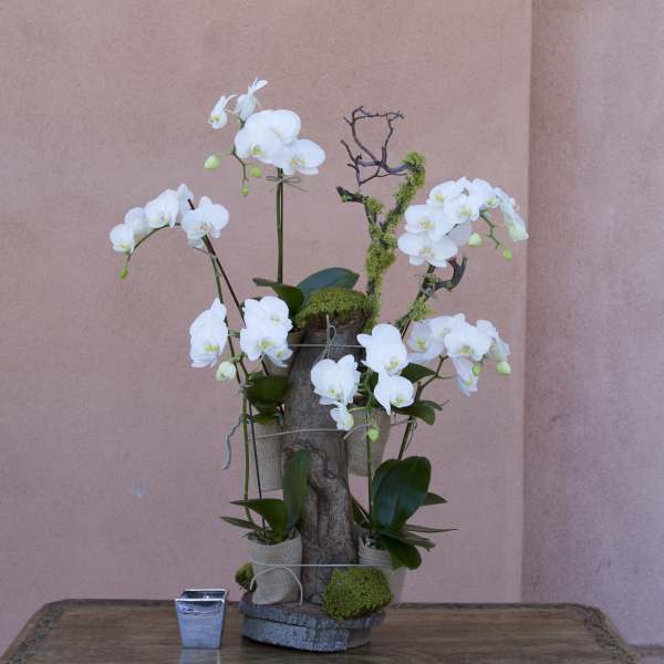 White orchids arranged around a rustic wood centerpiece on a table