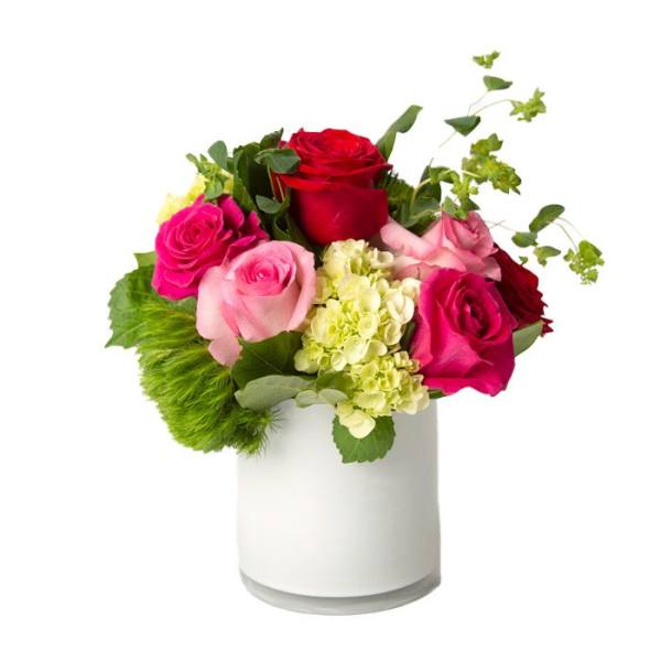 Compact arrangement of red and pink roses with green hydrangea in a white cylinder vase