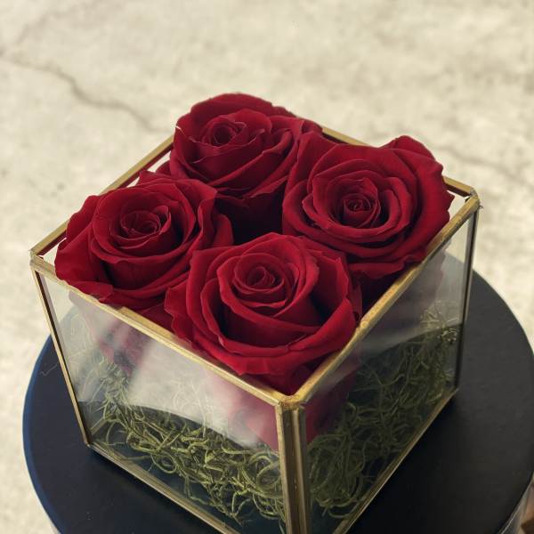 Four red roses in a glass cube box with gold trim