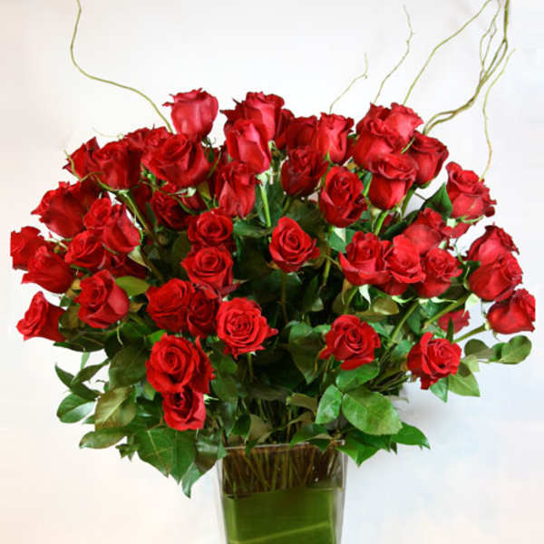 Bouquet of red roses in a tall clear glass vase