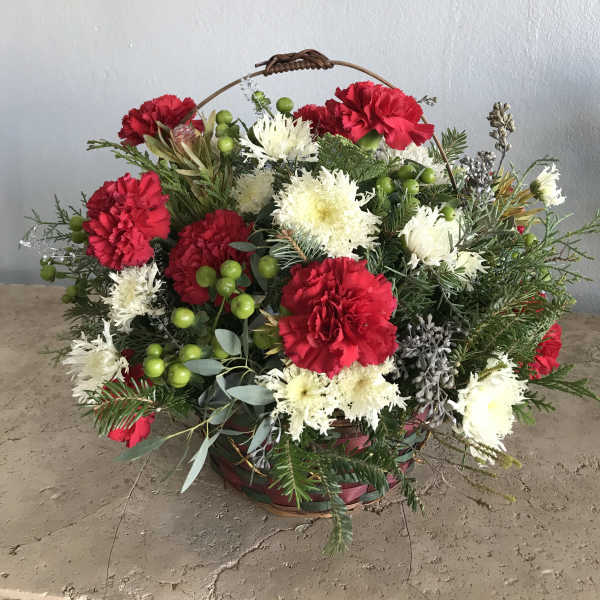 Basket arrangement of red and white carnations with greenery and berries