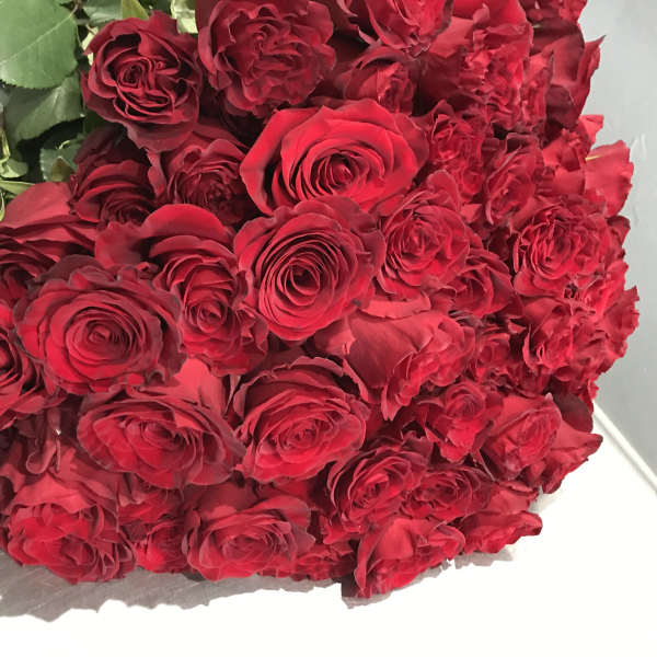 Large bouquet of red roses with green foliage