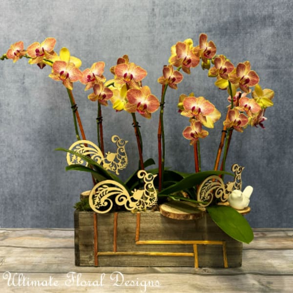 Orchid arrangement in a wooden box with decorative cutout accents