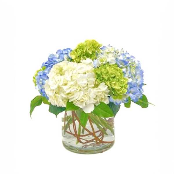 Low arrangement of white, blue, and green hydrangea-style blooms in a clear glass cylinder vase.