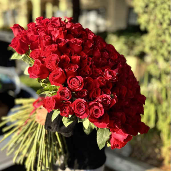 Large bouquet of red roses with long stems