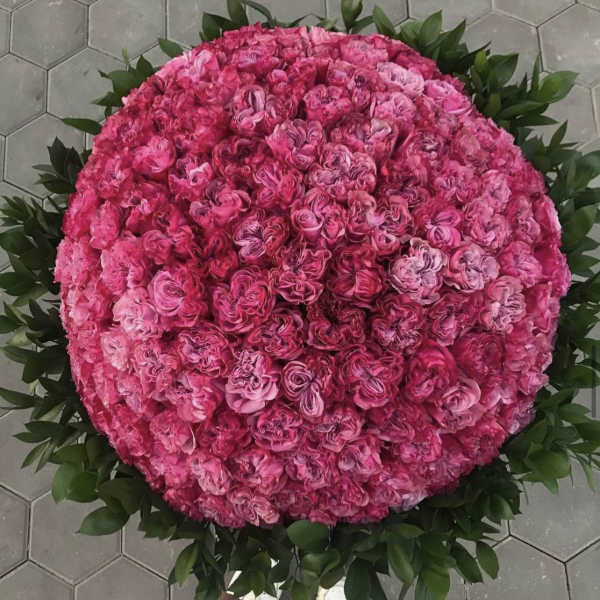 Large round bouquet of pink roses with a dark green leaf border