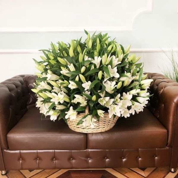 Large basket of white lilies with buds arranged densely on a leather sofa