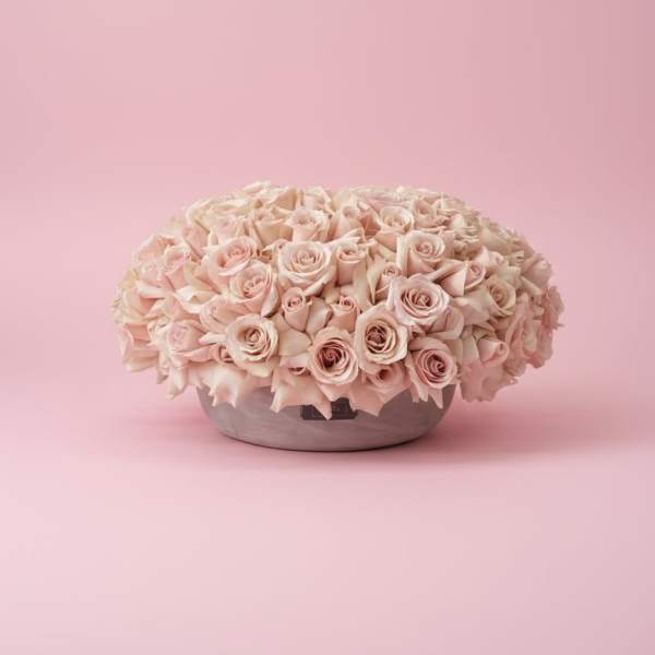 The Bella Bloom Bowl