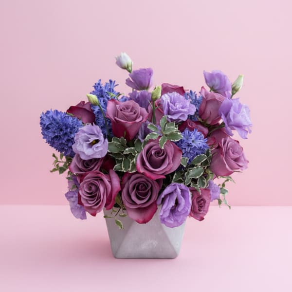 Violet Elegance