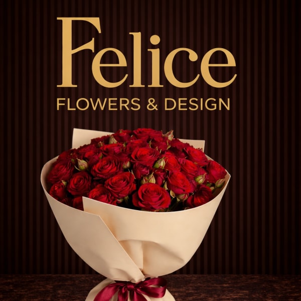 Bouquet of red roses wrapped in cream paper with a burgundy ribbon