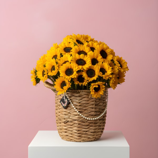 The Sunshine Brief