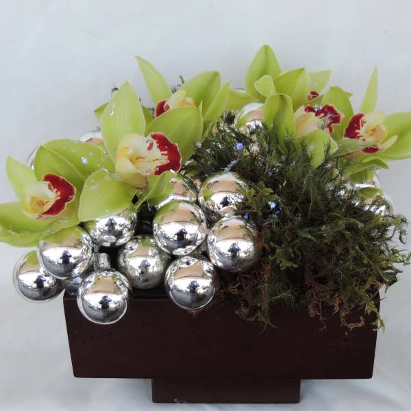 Green orchids with silver ornaments in a rectangular planter