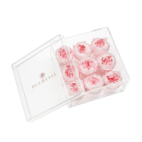 Pink peonies in a clear acrylic gift box