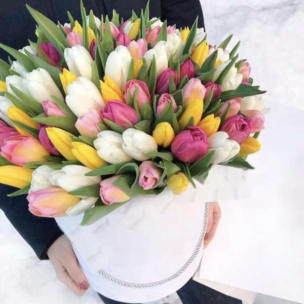 Bouquet of pink, white, and yellow tulips wrapped in white paper