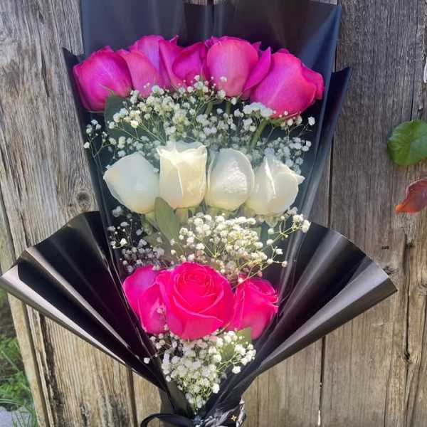 Bouquet of pink and white roses with baby's breath in black wrap