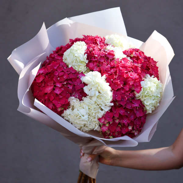 Bouquet of pink and white hydrangeas wrapped in pale paper