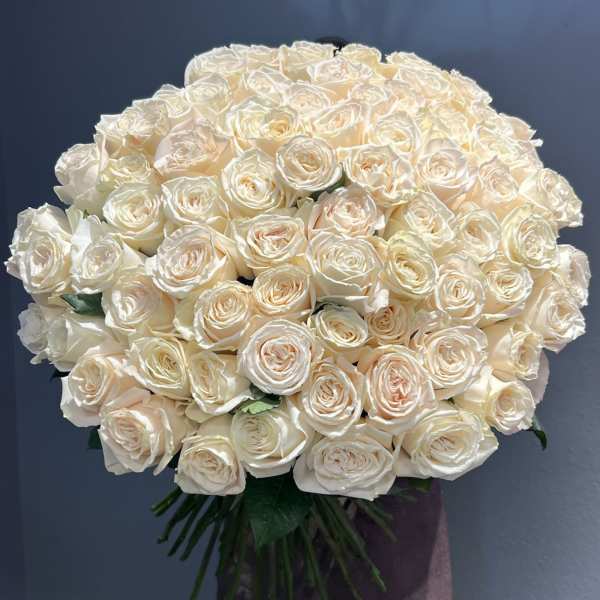 Large bouquet of cream white roses against a dark background