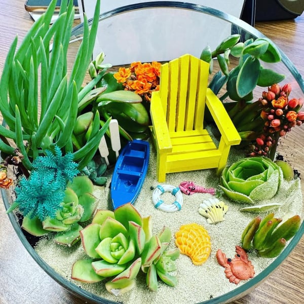 Beach Summer Succulent