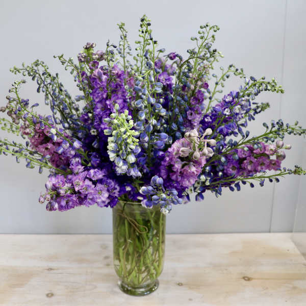 Tall arrangement of purple and blue delphinium in a clear glass cylinder vase