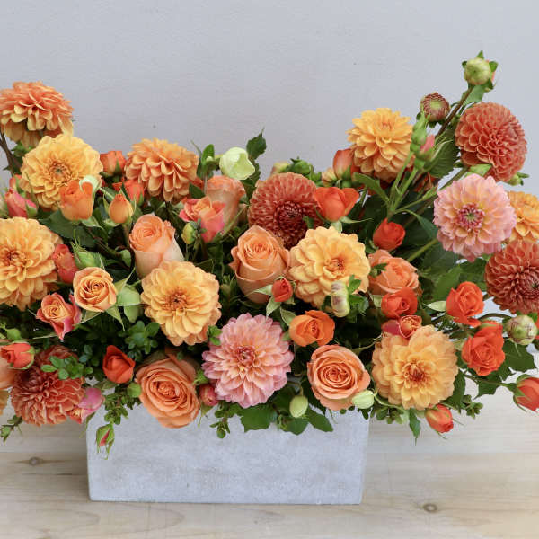 Low rectangular arrangement of orange dahlias and peach roses in a gray container