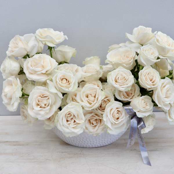 Low white bowl filled with cream roses and a gray ribbon accent