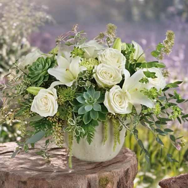 White roses and lilies arranged with succulents in a white vase