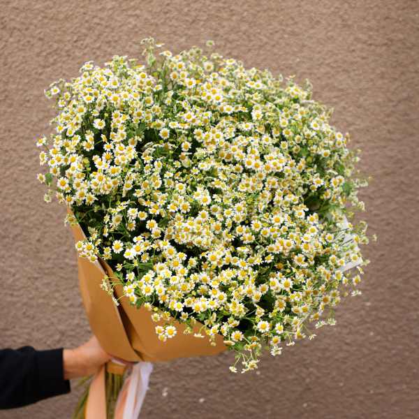 Large bouquet of tiny white daisies with yellow centers wrapped in tan paper