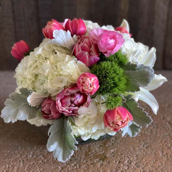 Pink tulips and white hydrangeas in a low bouquet with silver foliage